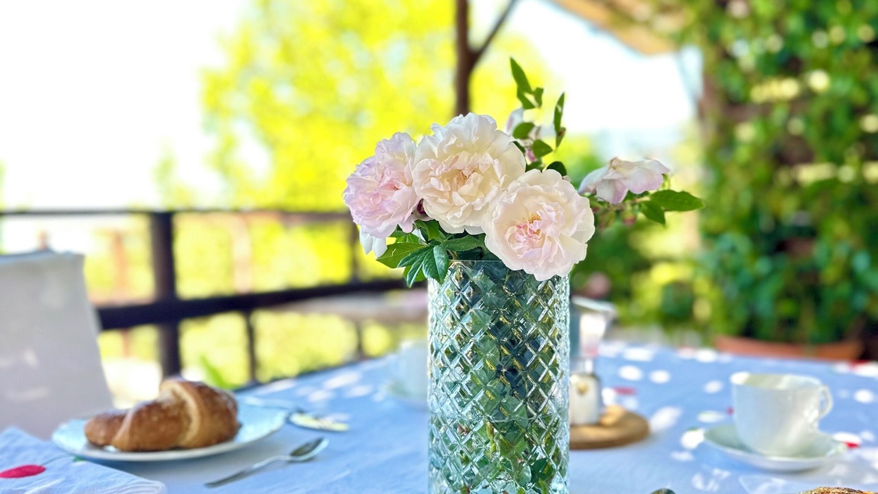 Photo of Outdoor in Cicerale