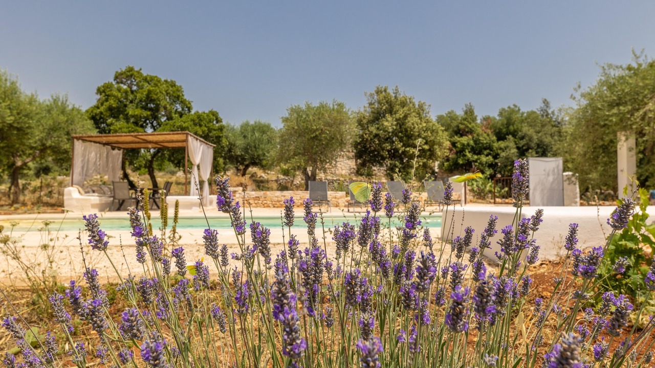Photo of Outdoor in Cisternino