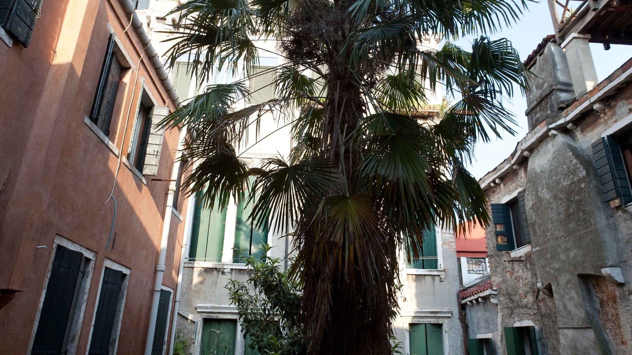 Photo of Outdoor in Dorsoduro