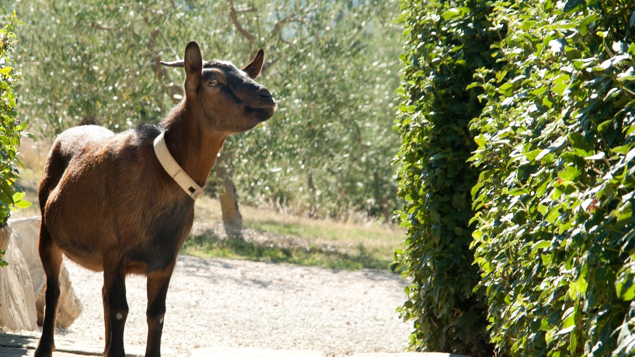 Photo of Outdoor in Gualdo Cattaneo
