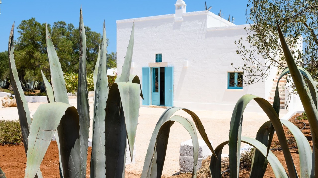 Photo of Outdoor in Ostuni