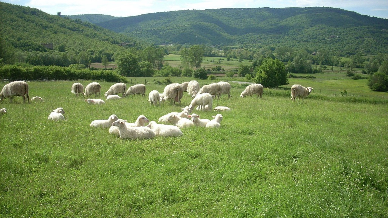 Photo of Others in Passignano sul Trasimeno