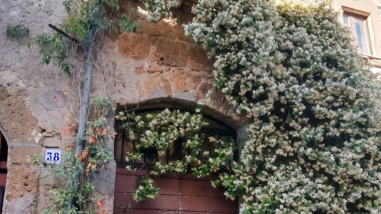 Photo of Others in Barbarano Romano