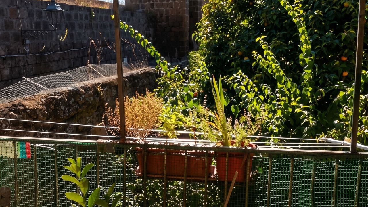 Photo of Patio Balcony in Barbarano Romano