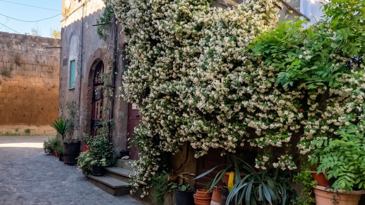 Photo of Outdoor in Barbarano Romano