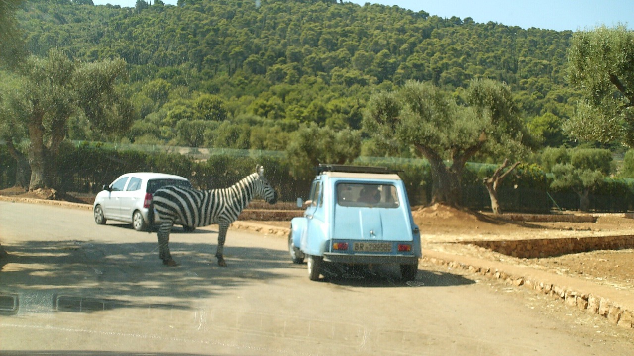 Photo of Others in Francavilla Fontana