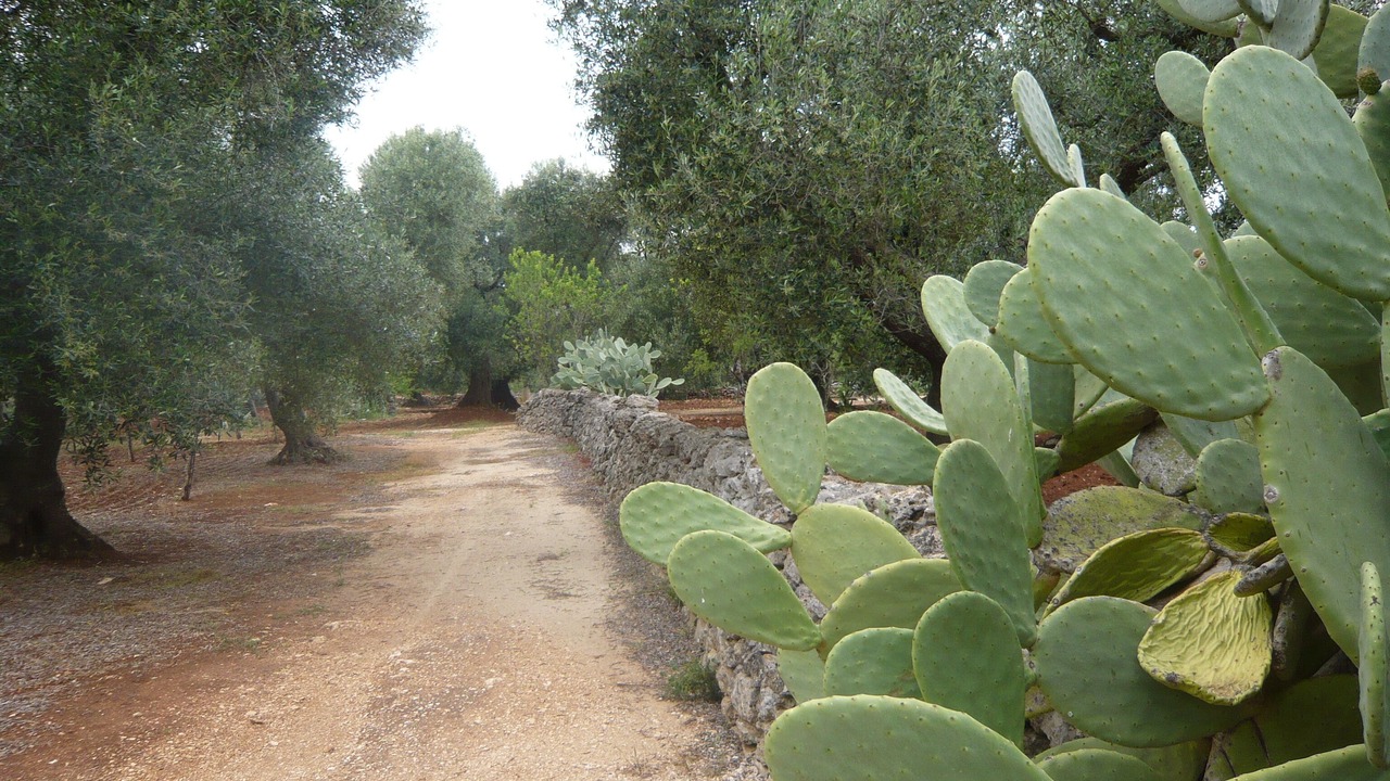 Photo of Outdoor in Francavilla Fontana