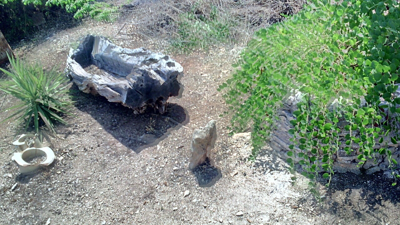 Photo of Outdoor in Francavilla Fontana