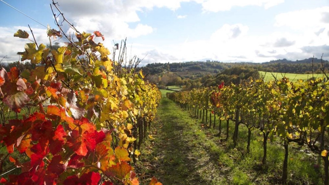 Photo of Outdoor in Chiusi