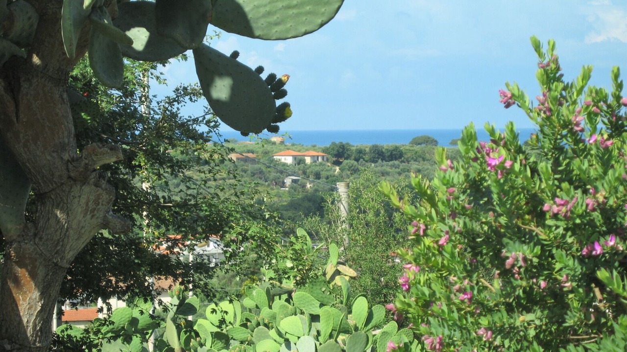 Photo of Outdoor in Alani