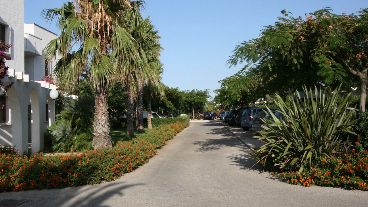 Photo of Outdoor in Villanova