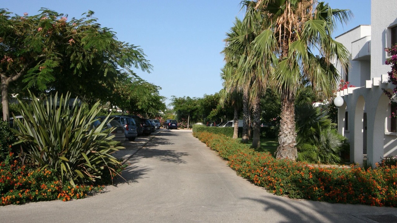 Photo of Outdoor in Villanova