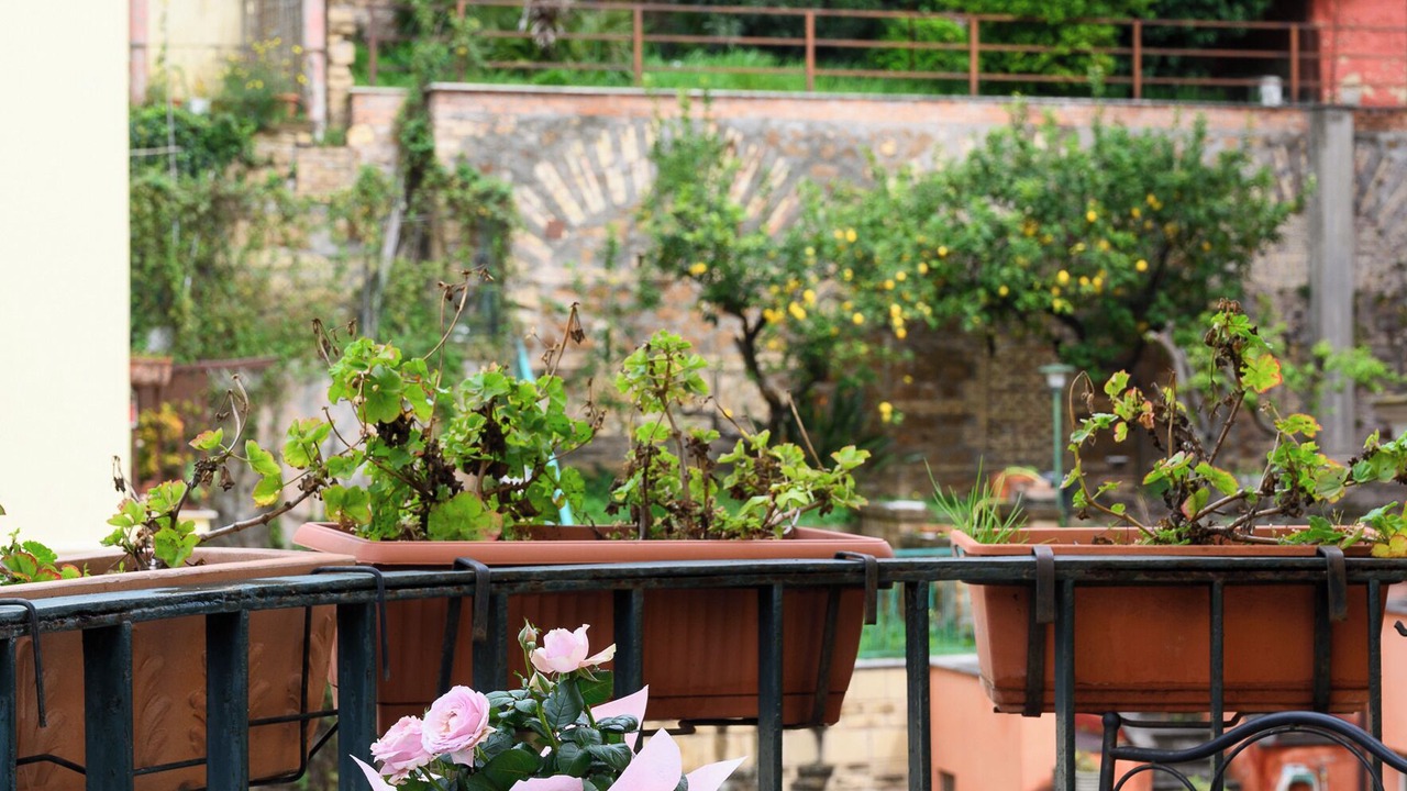 Photo of Outdoor in Quartiere XIII Aurelio