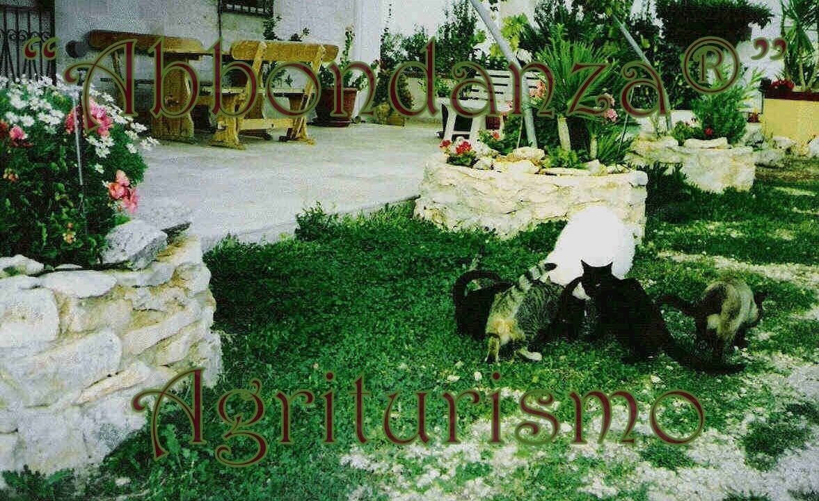 Photo of Outdoor in Alberobello