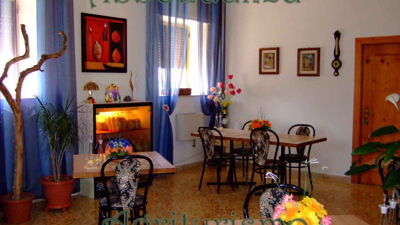 Photo of Others in Alberobello