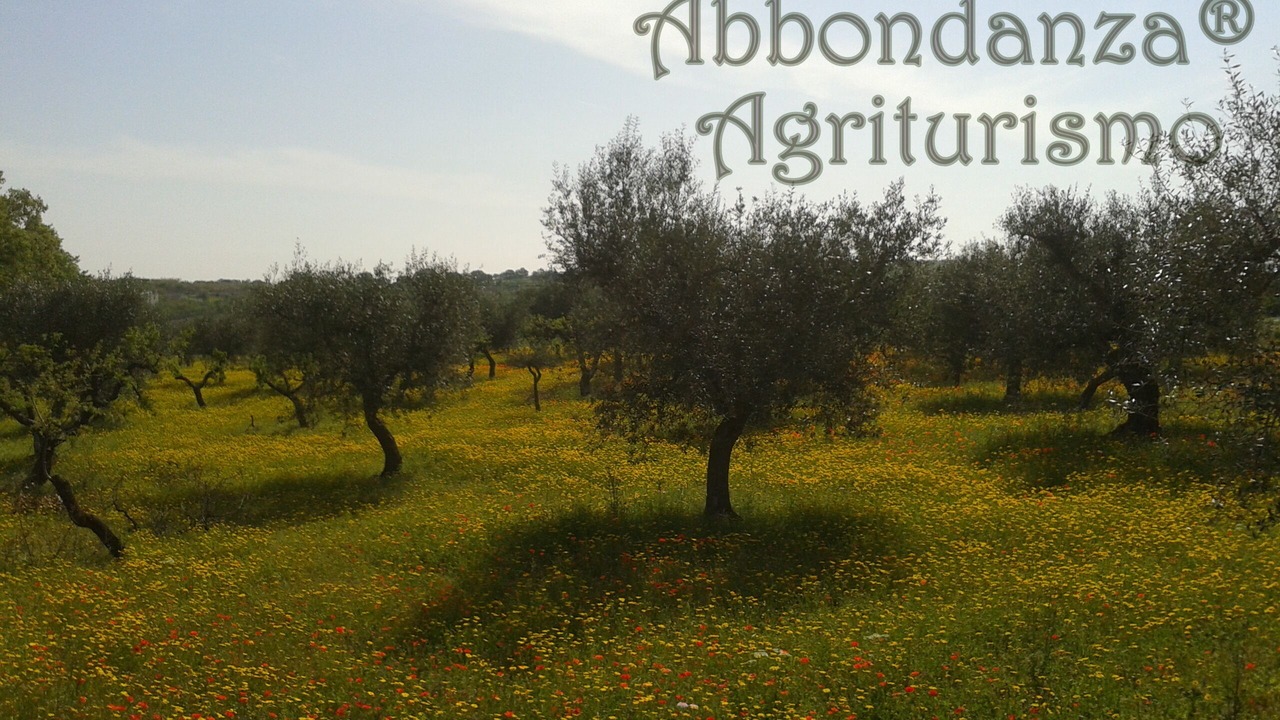 Photo of Outdoor in Alberobello