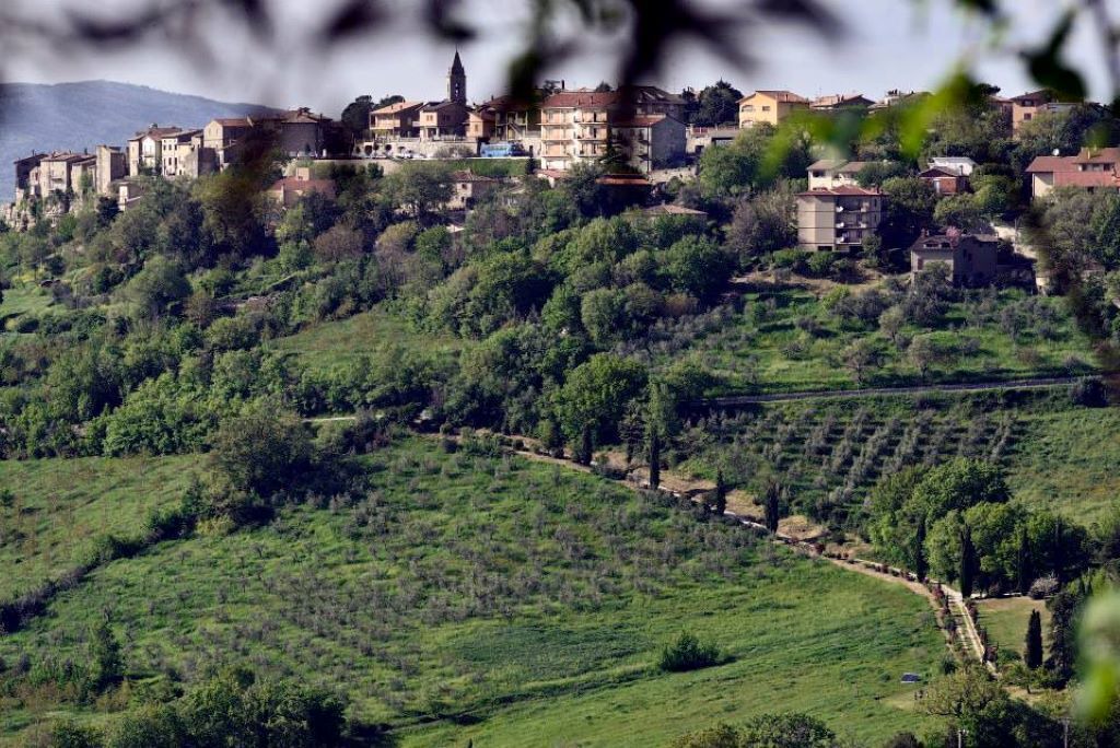Photo of Others in Baschi