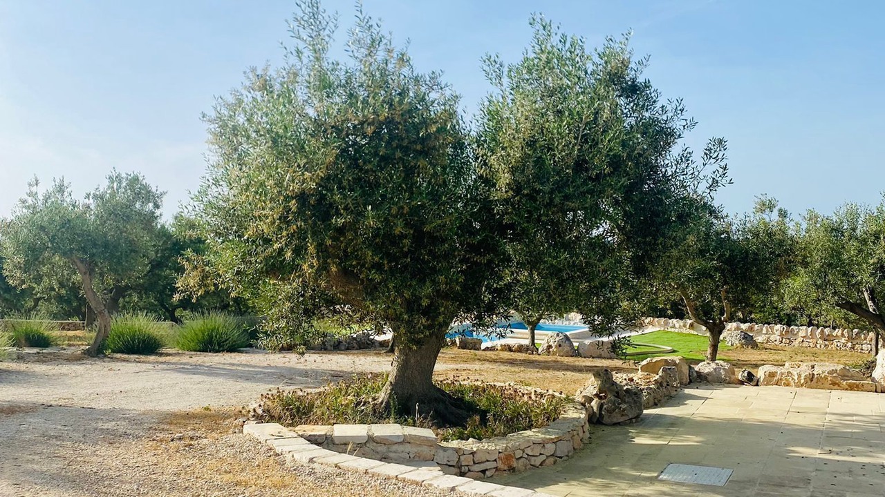 Photo of Outdoor in Alberobello