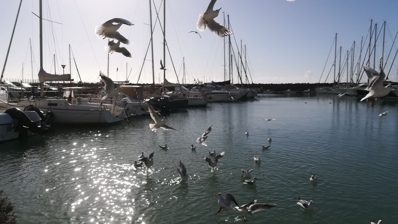 Photo of Others in Quartiere XXXIV Lido di Ostia Levante