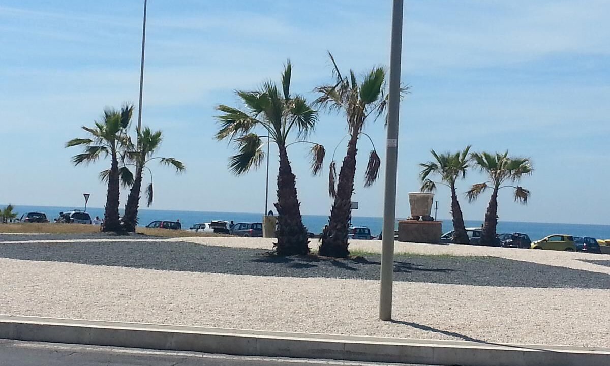 Photo of Outdoor in Quartiere XXXIV Lido di Ostia Levante