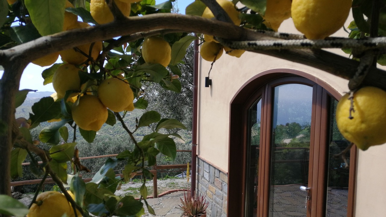 Photo of Outdoor in San Mauro Cilento