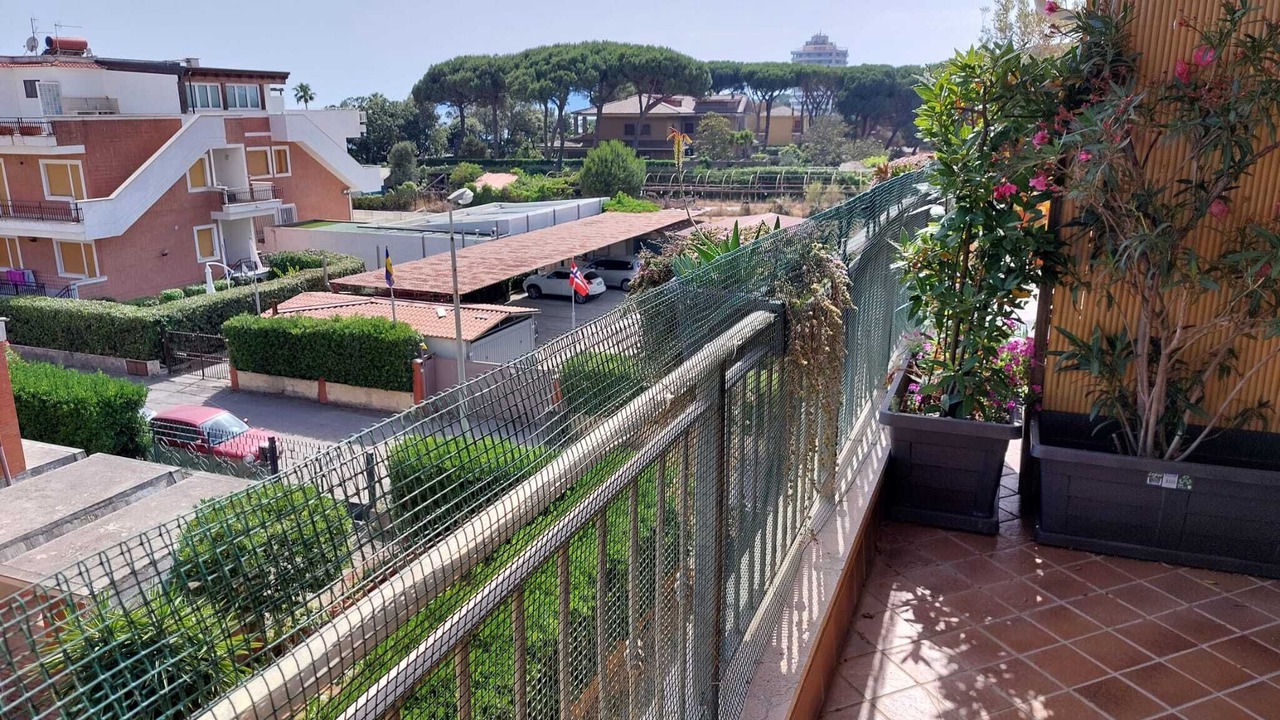 Photo of Others in Terracina