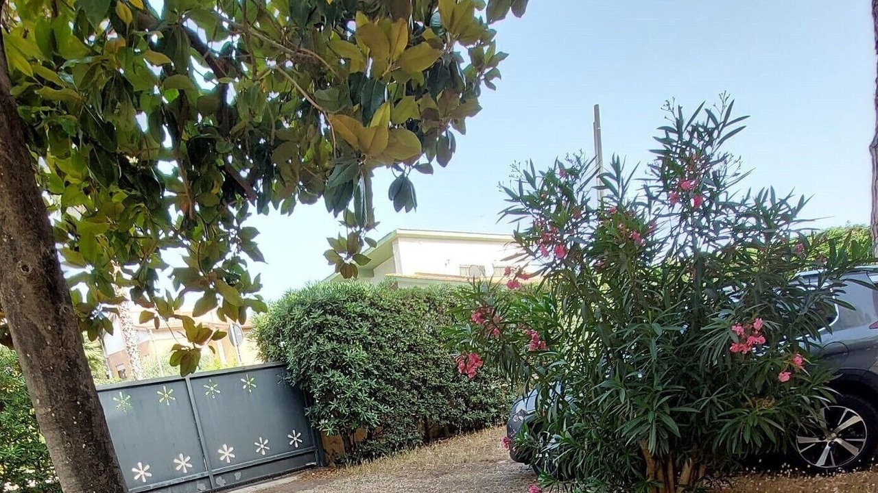 Photo of Others in Terracina