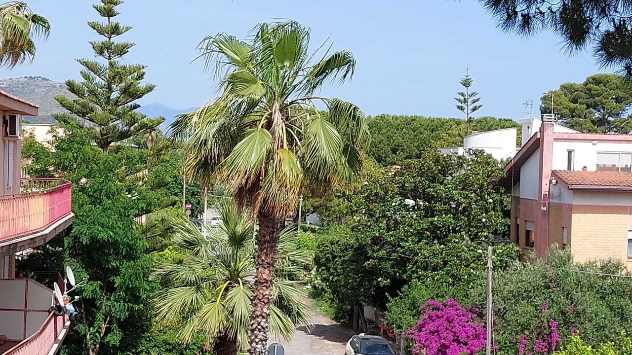 Photo of Others in Terracina