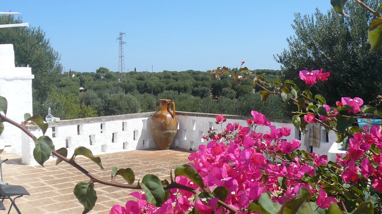 Photo of Outdoor in Santa Caterina