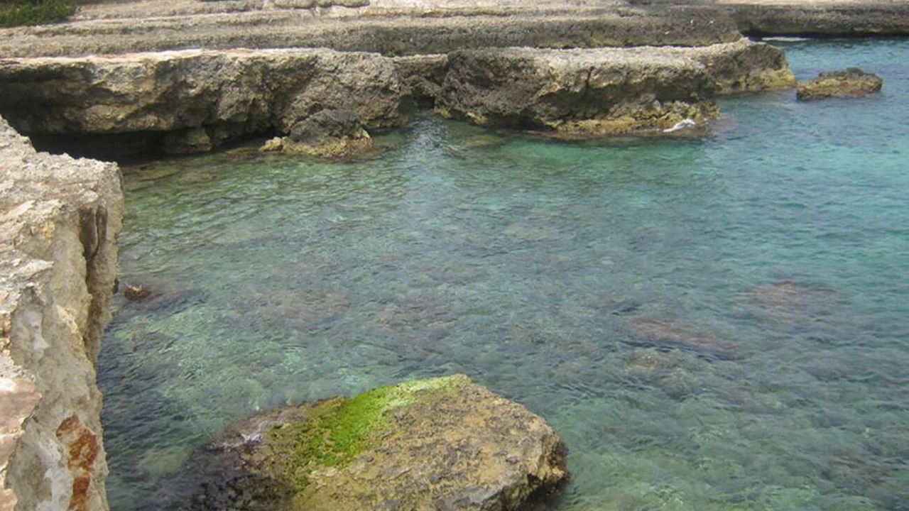 Photo of Others in Santa Caterina
