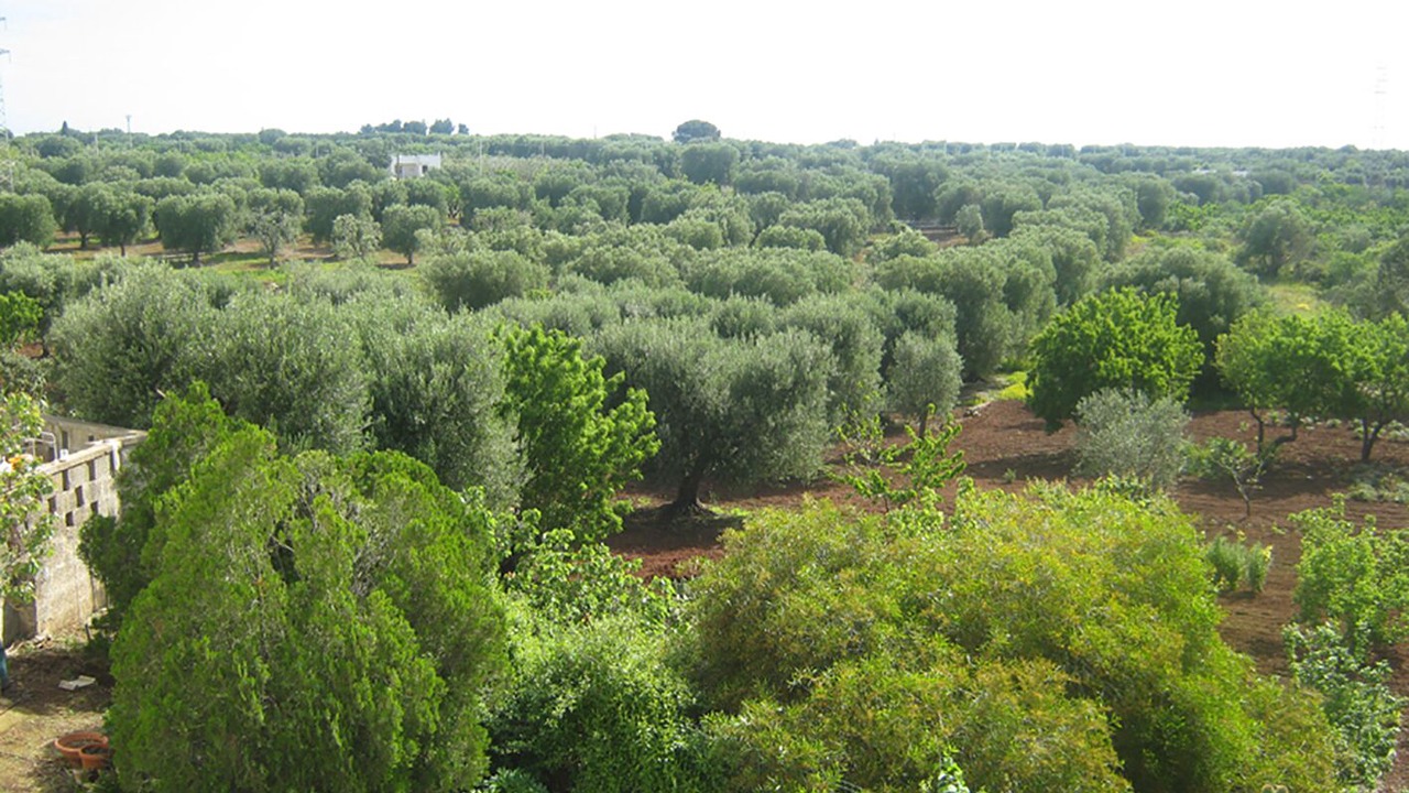 Photo of Others in Santa Caterina