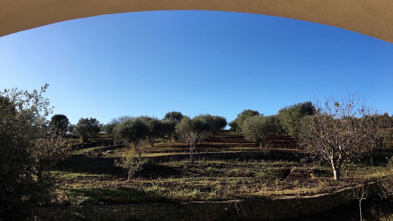 Photo of Outdoor in Martina Franca