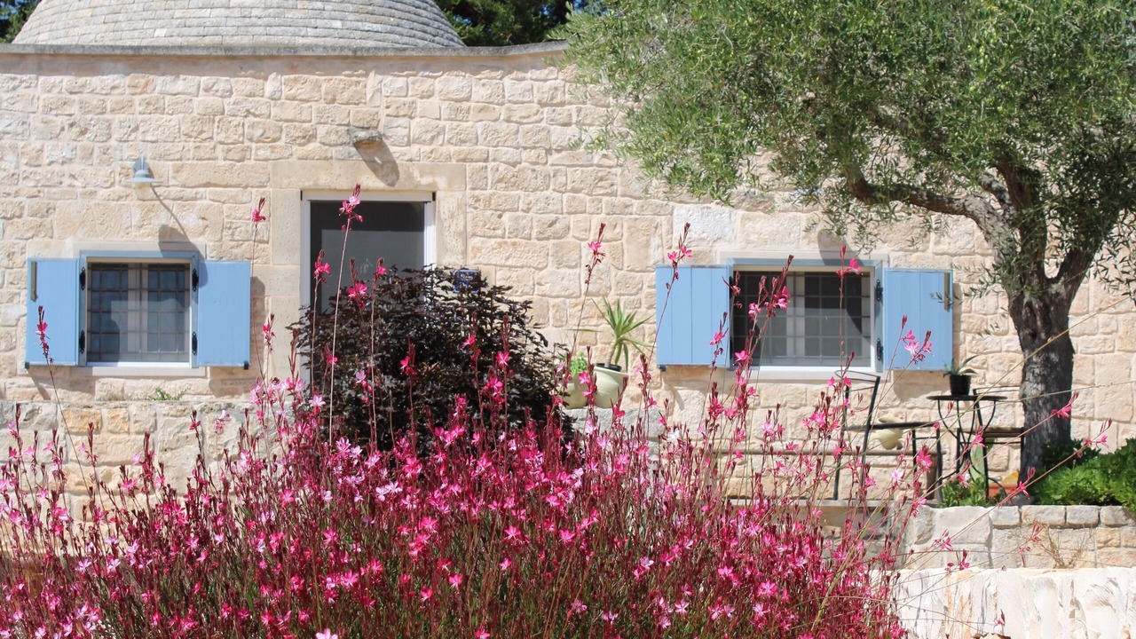 Photo of Outdoor in Martina Franca