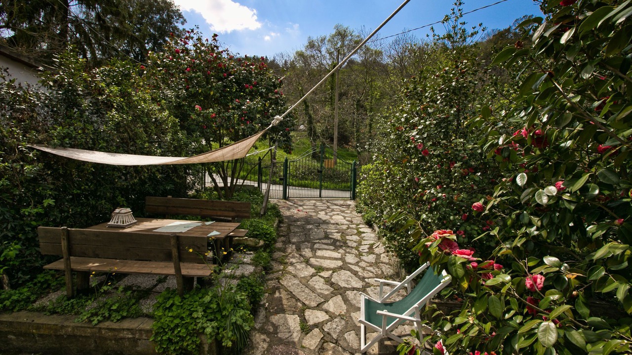 Photo of Outdoor in Donoratico