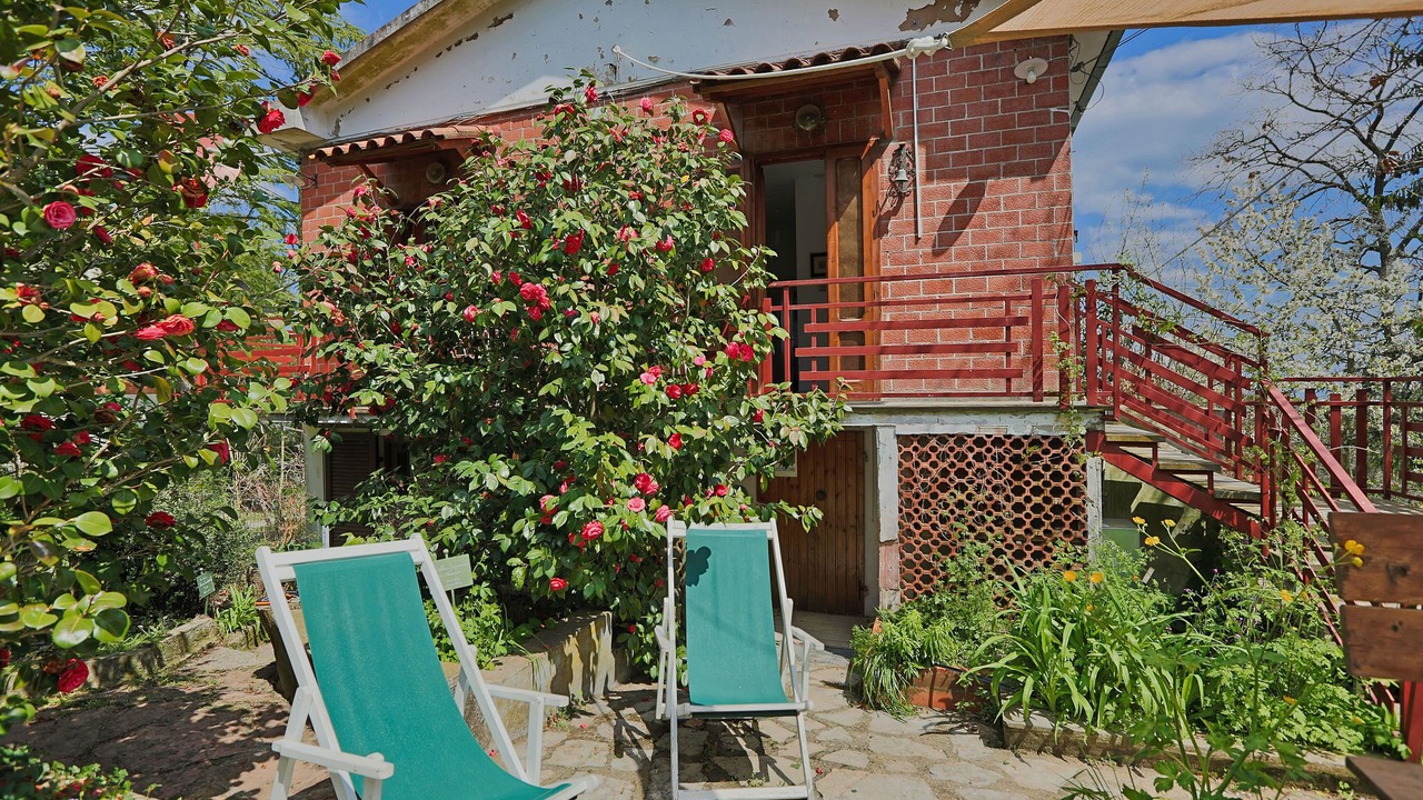 Photo of Outdoor in Donoratico