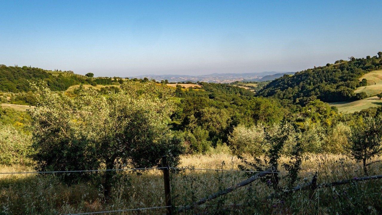 Photo of Others in Scansano