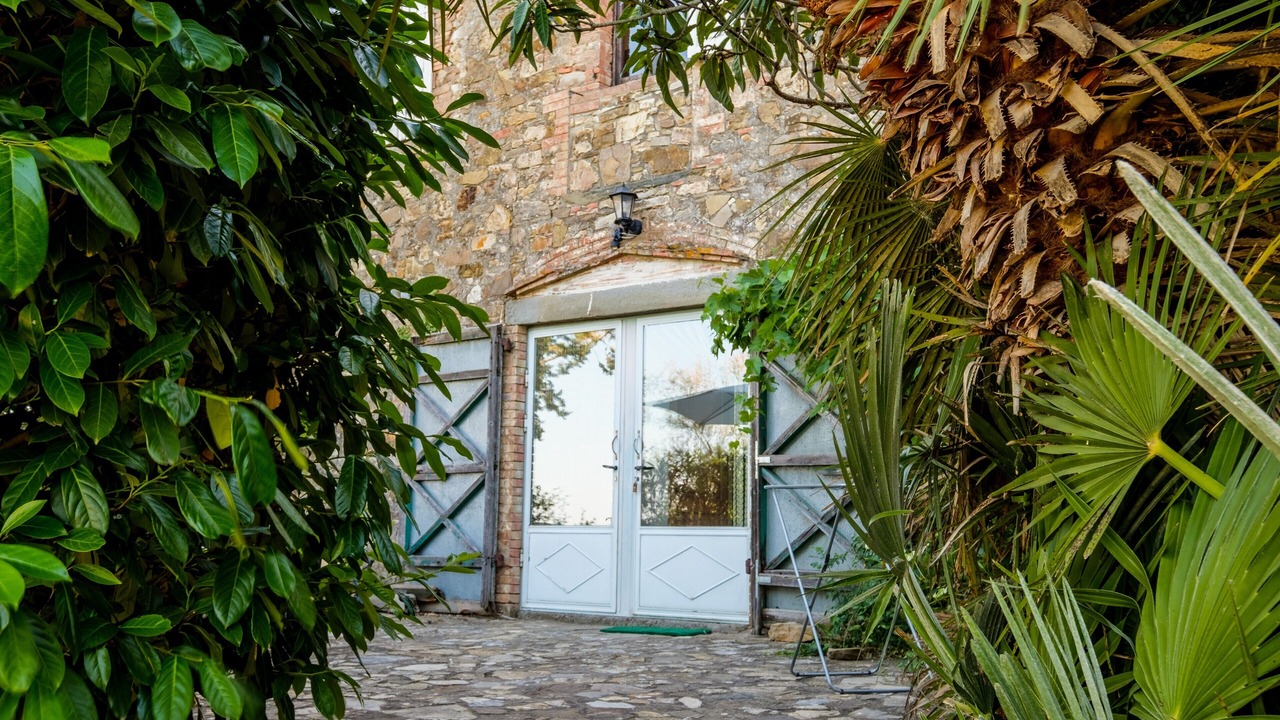 Photo of Outdoor in Scansano