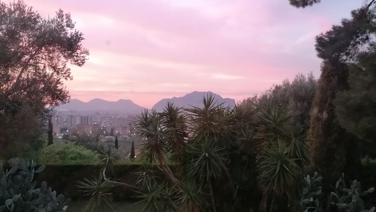 Photo of Outdoor in Palermo