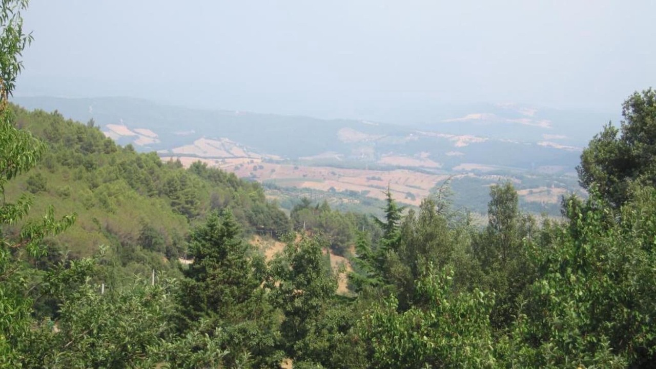 Photo of Others in Suvereto