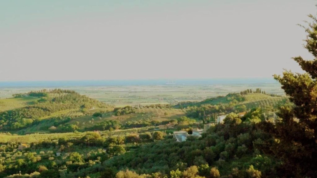 Photo of Others in Suvereto
