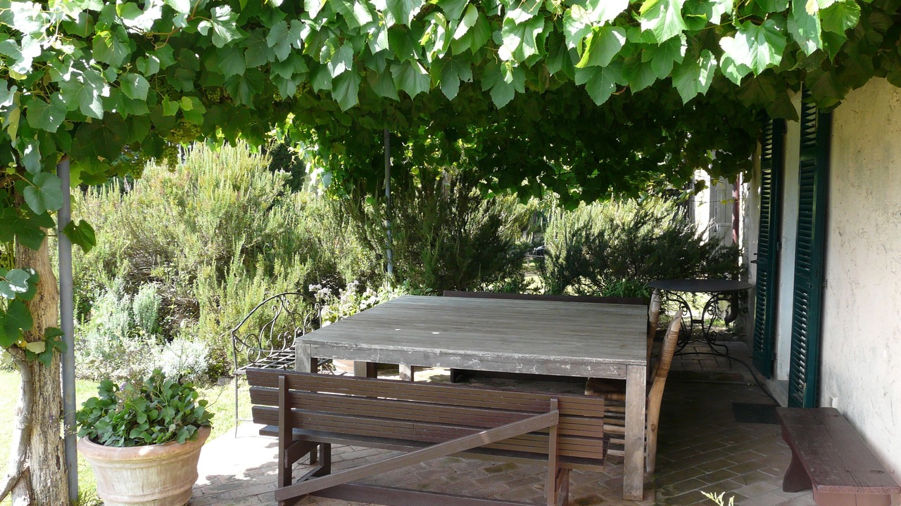 Photo of Outdoor in Magliano in Toscana