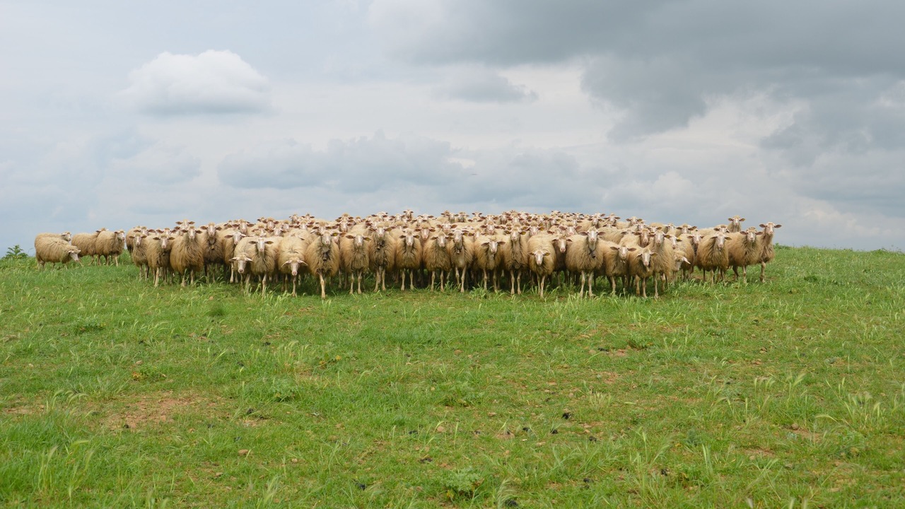 Photo of Outdoor in Magliano in Toscana