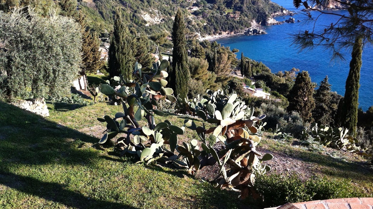 Photo of Outdoor in Monte Argentario