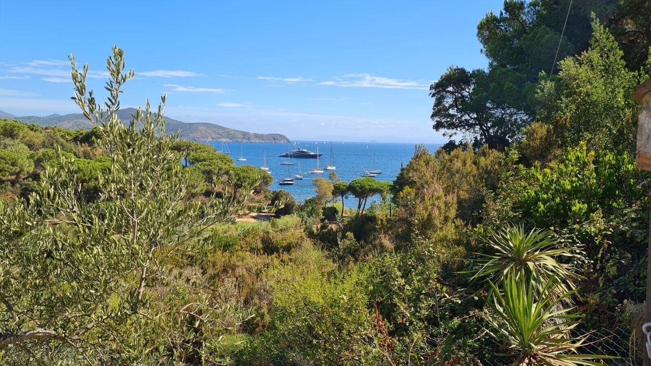 Photo of Others in Capoliveri