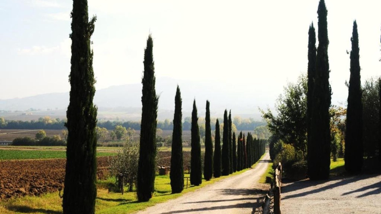 Photo of Others in Ranciano
