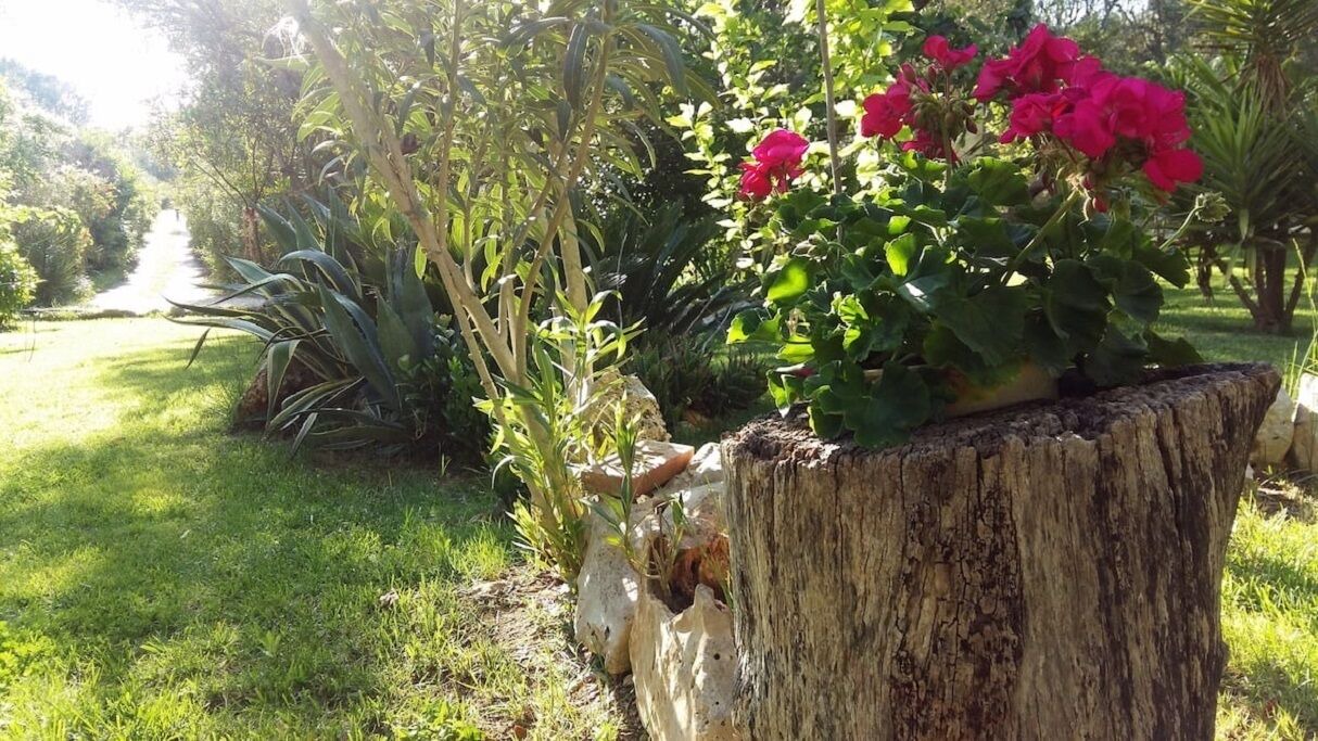 Photo of Outdoor in Villa Castelli