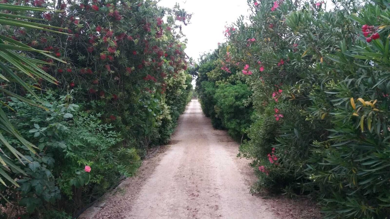 Photo of Outdoor in Villa Castelli