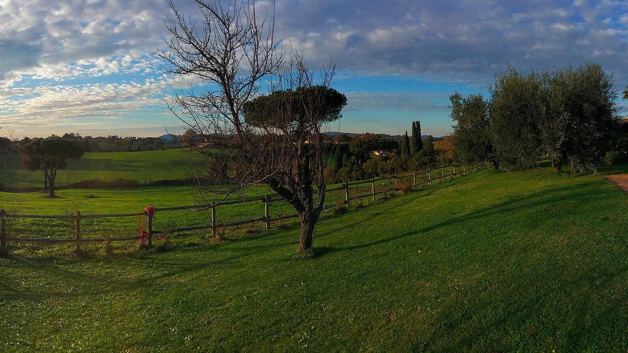 Photo of Outdoor in Lake Bracciano