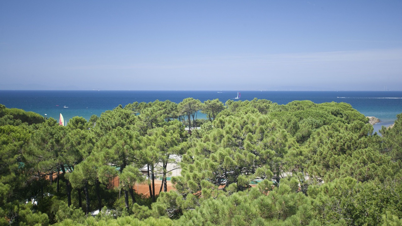 Photo of Others in Castiglione della Pescaia
