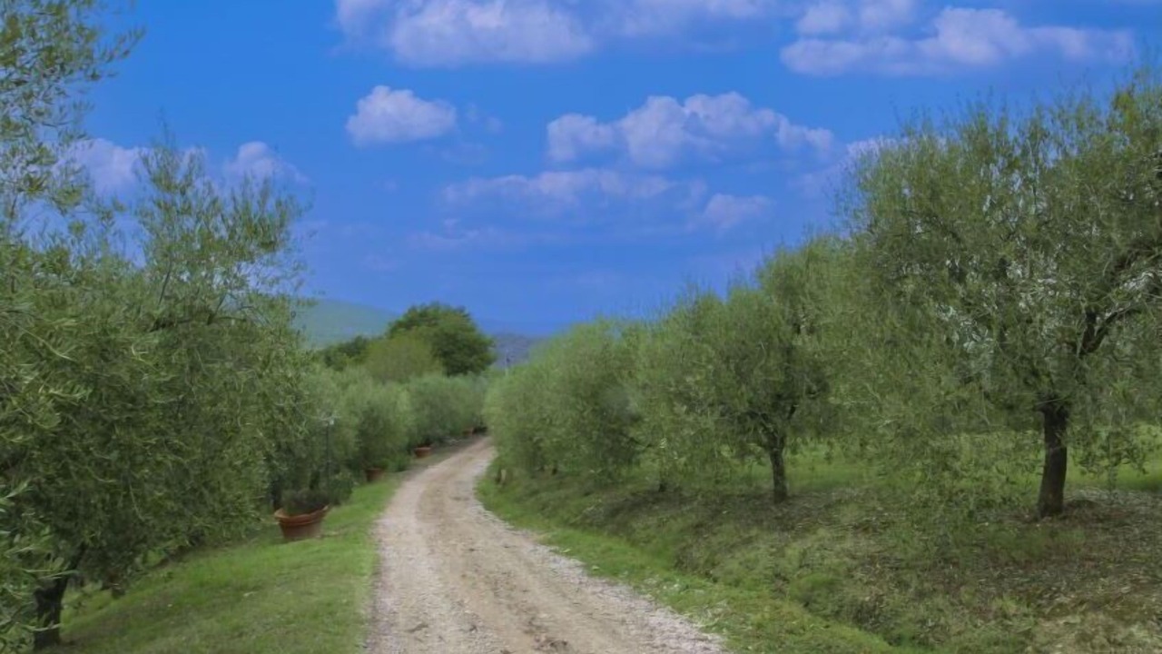 Photo of Others in Torrita di Siena